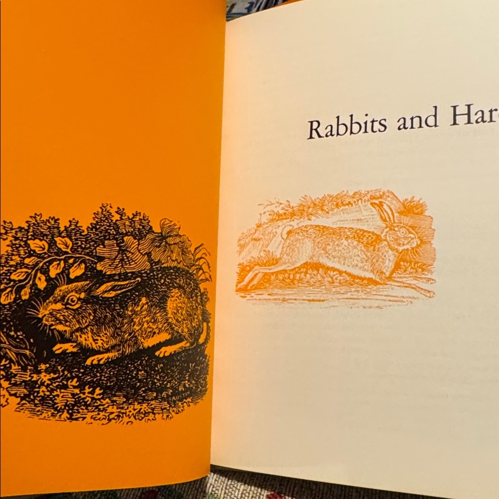 Game and Fish Cookbook - Picture 11 of 12